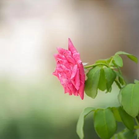 Bay's Balcony Verga Kalamata